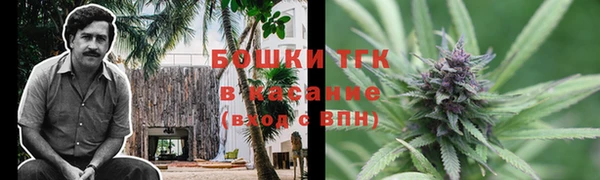 гидропоника Ельня