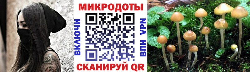 Псилоцибиновые грибы Psilocybine cubensis  Нытва 