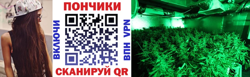 Марихуана THC 21%  купить закладку  Нытва 